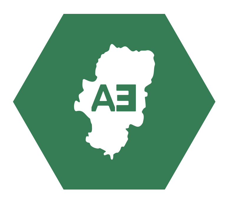 aragon existe icon